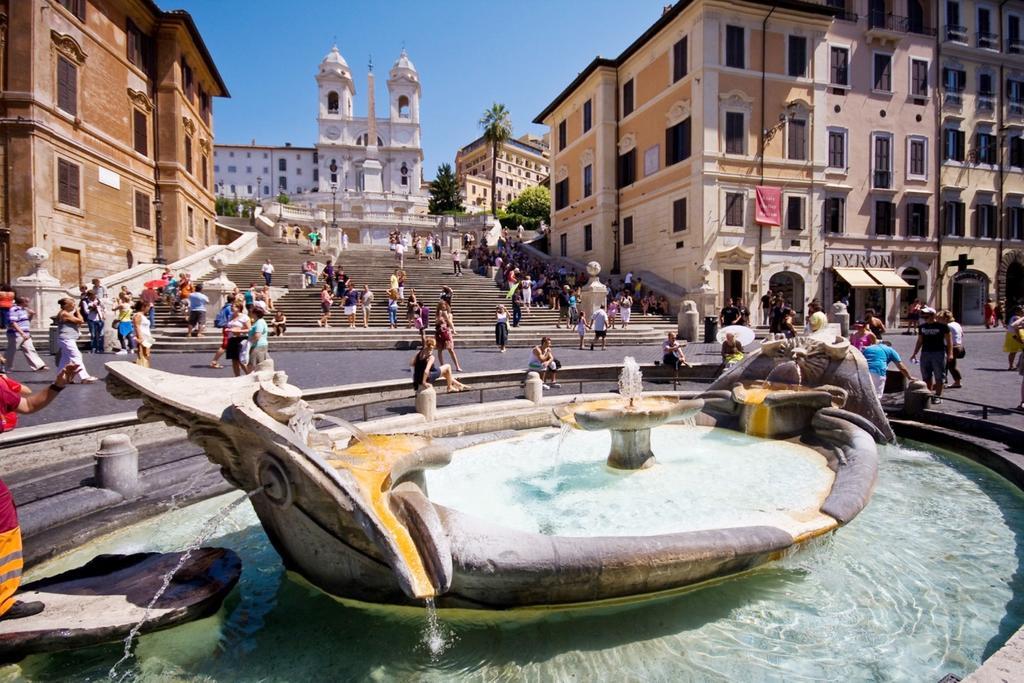 Bufalo Roma Rom bilde